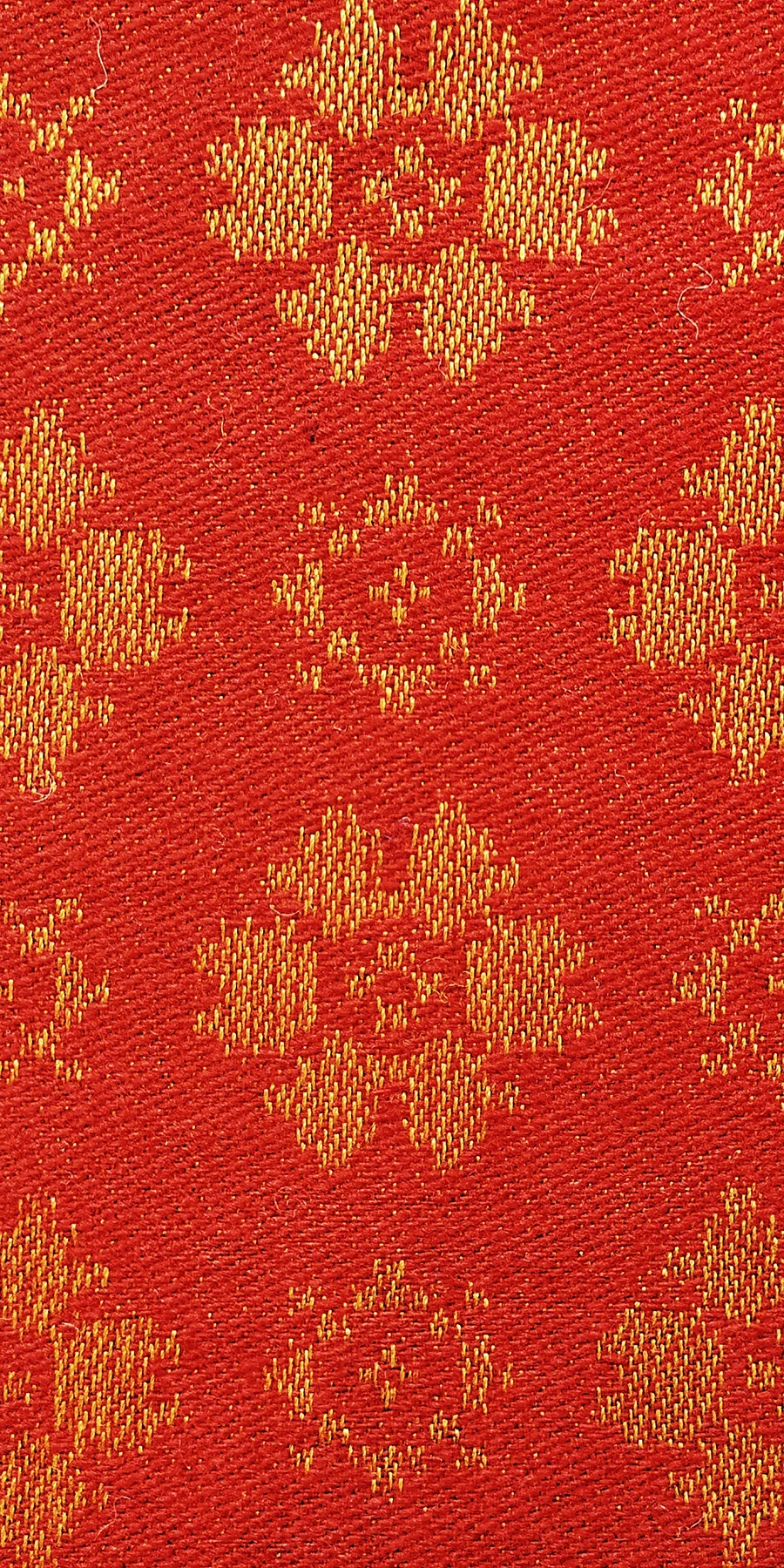 Rød enkel rose gloria