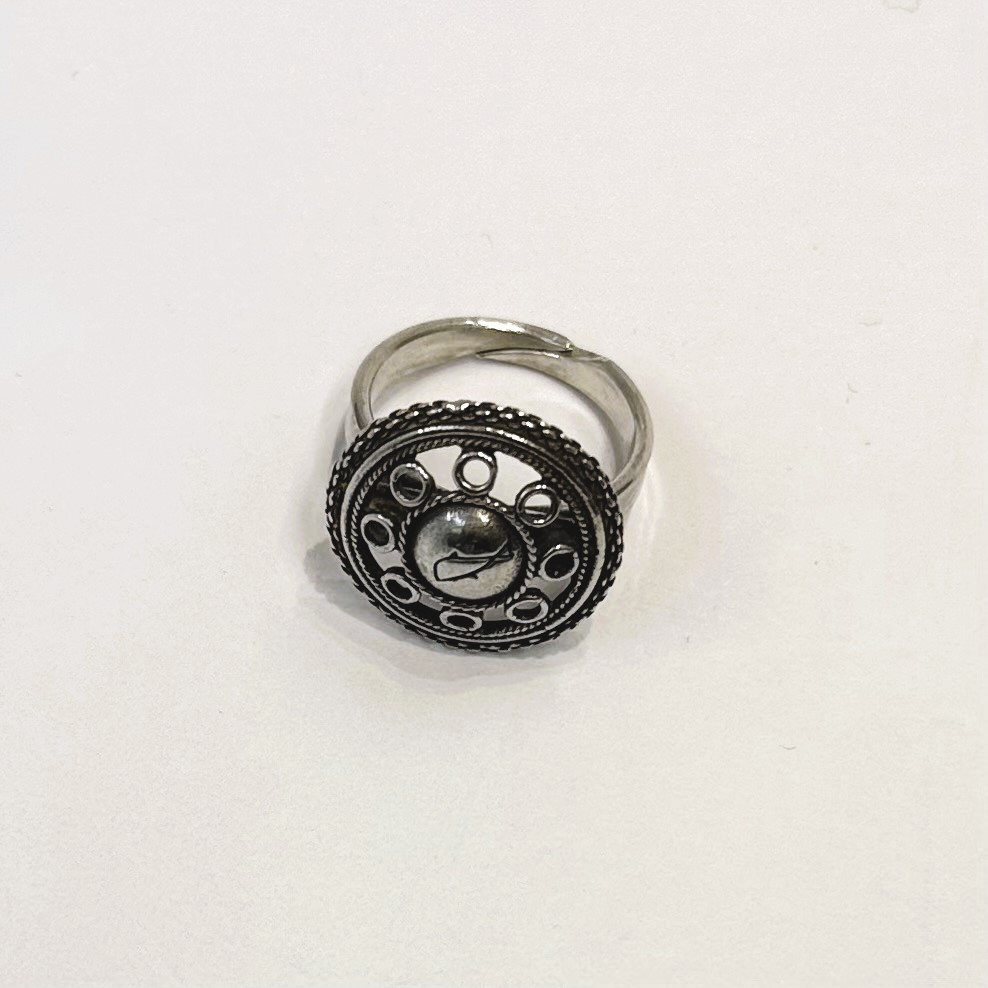 Ring til Balsfjordbunaden - Bilde 2