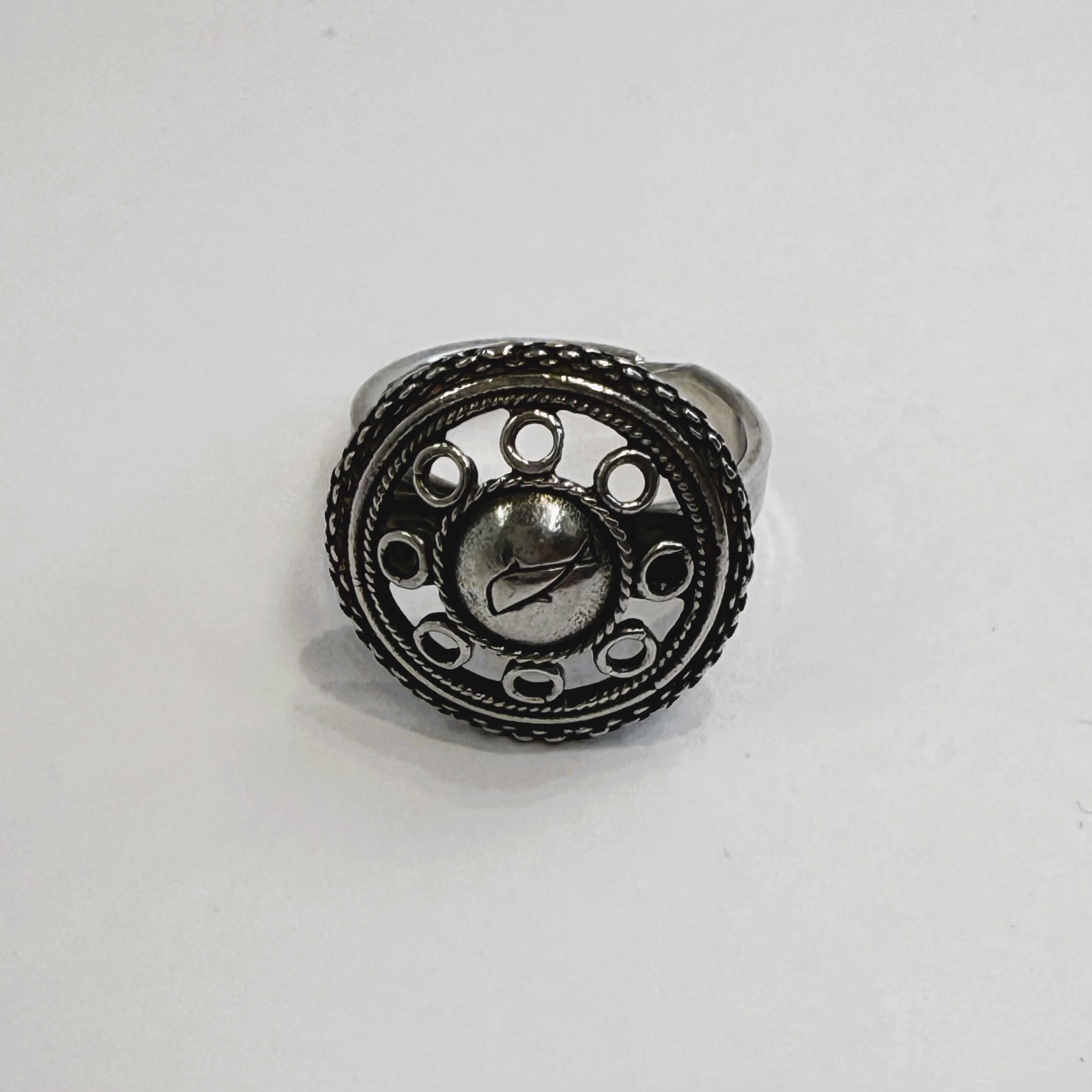 Ring til Balsfjordbunaden - Bilde 1
